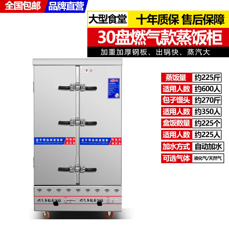 Gran gabinete de arroz al vapor vapor coche de arroz al vapor una sola puerta 15 placas doble puerta 24 placas 30 placas 36 placas 48 placas 60 placas calefacción eléctrica y gas
