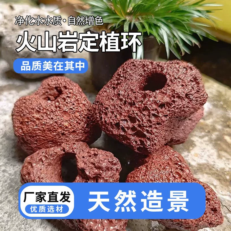 Вулканический камень водная трава фиксированное кольцо пробивает отверстие Вулканический камень водная трава посадила артефакт аквариум для создания ландшафта вулканической породы водная трава кольцо