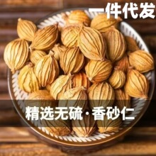 ����؛�o��������ɰ�ʴ�ɰ�ʴ�ɳ�ʽ�ɰ�ʟ����u�ϴ��ϟ���ȥ��