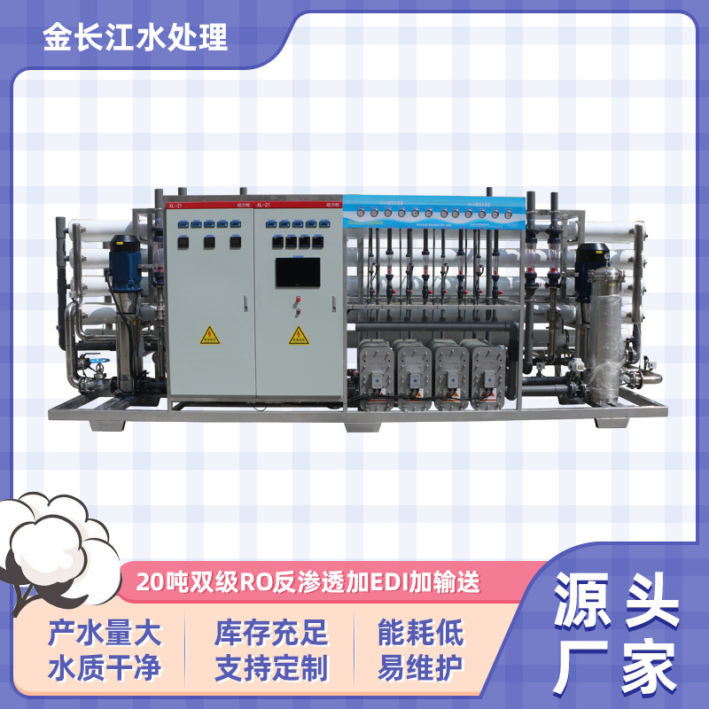 20吨双级反渗透设备加EDI超纯水机器加输送系统专业净水机器