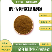 假马齿笕提取物10:1 假马齿笕浓缩粉 水溶性 假马齿笕粉 瑞斯生物