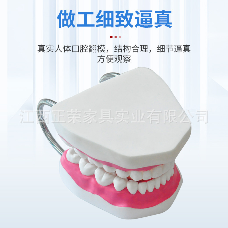 幼儿园科学探索实验器材教具发现室益智玩具中小学科技馆科普stem|undefined