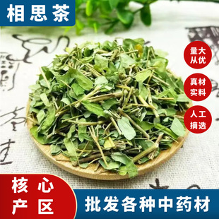 �V���`ɽ�خaҰ���u�ǲ��~����˼���~�u�ǲݲ�ɢ�b���b���]500��