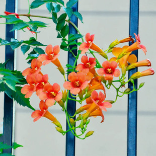 �ͺ�������������ֲ���Ϙ������̨ͥԺ�����Ԯ���̻�����������