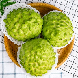 枇杷;柑桔;石榴