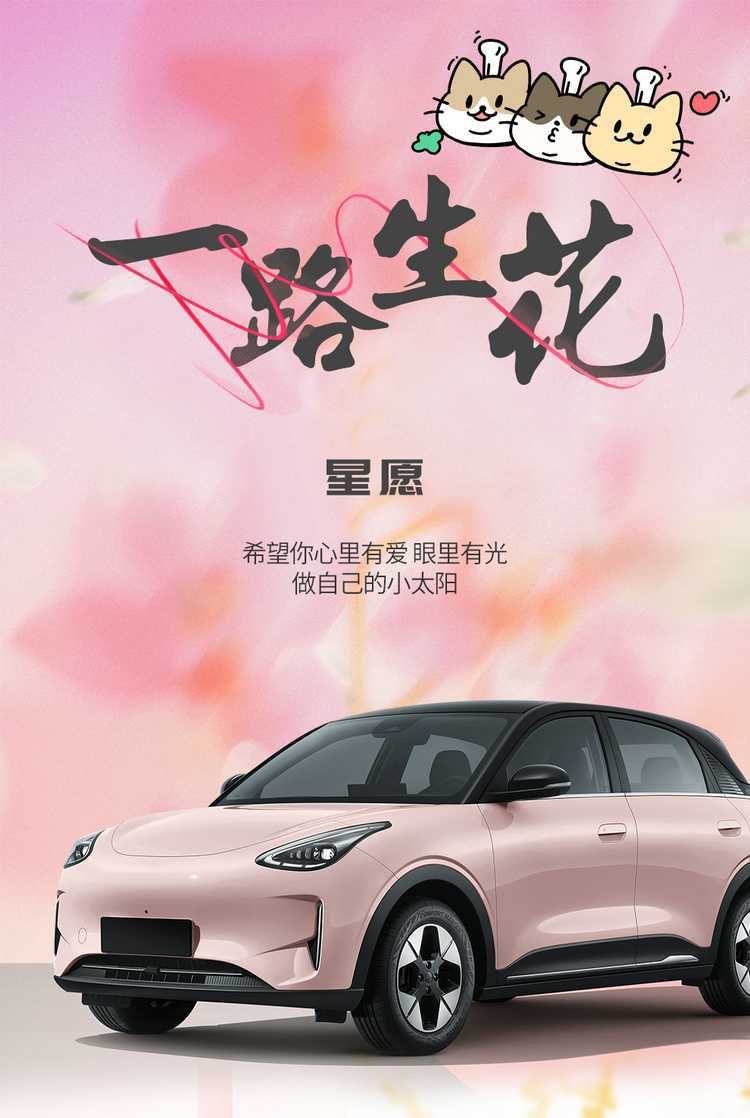 Suitable for Geely Xingyuan Seat Cover, Fully Enclosed, Universal for All Seasons, Xingyuan Special Seat Cover, Youth Free Dream Edition