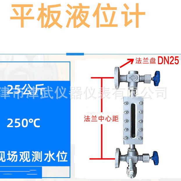 中环天仪液位计川仪透反射式双色水位计威卡锅炉水位计B49X-2.5
