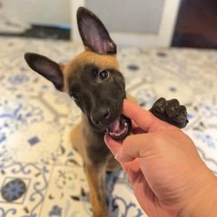 �����r�RȮ��Ȯ���w���l���N���oԺȮ���t�RȮ�o�lȮ���ﹷ����