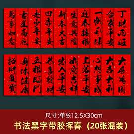 装饰挥春贴贺年家门上小对联珲春春节门贴新年挥春入户门龙年2024