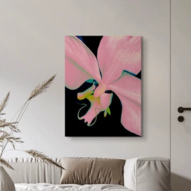 现代装饰画;油画;工艺画