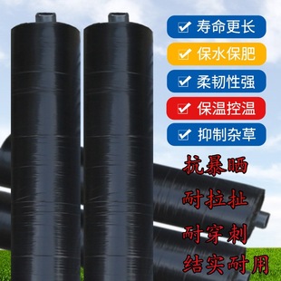 Agricultural Thickened Anti-Aging Black Mulch Plastic Film for Weed Prevention, Insulation, and Moisture Retention in Greenhouses, Orchards, and Flower Planting Fields