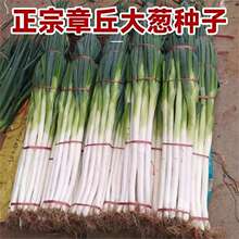 ɽ�|������[�N���ļ��Nֲ�̨�߲�С���[�N��ͥԺ�����[���r����