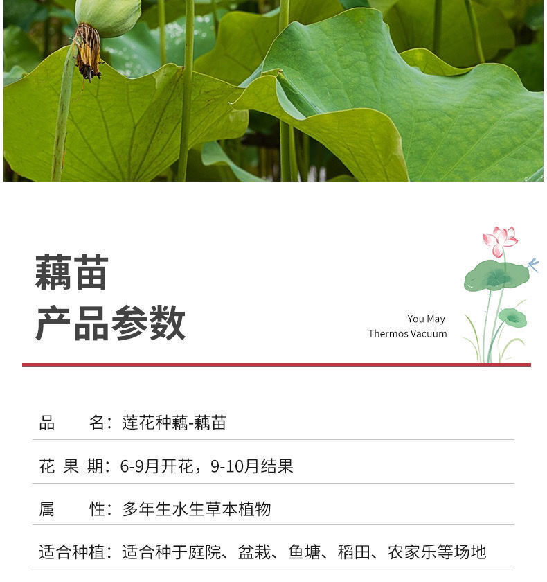 81537c60-8ca0-4f8e-ab4d-137c24ba6a34.jpe