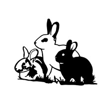 ��  ��ֻС�� Ȥζ�N��  ���N