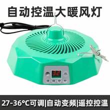 养殖热风机自动控温大功率宠物保温灯恒温小鸡小鸭芦丁鸡取暖加热