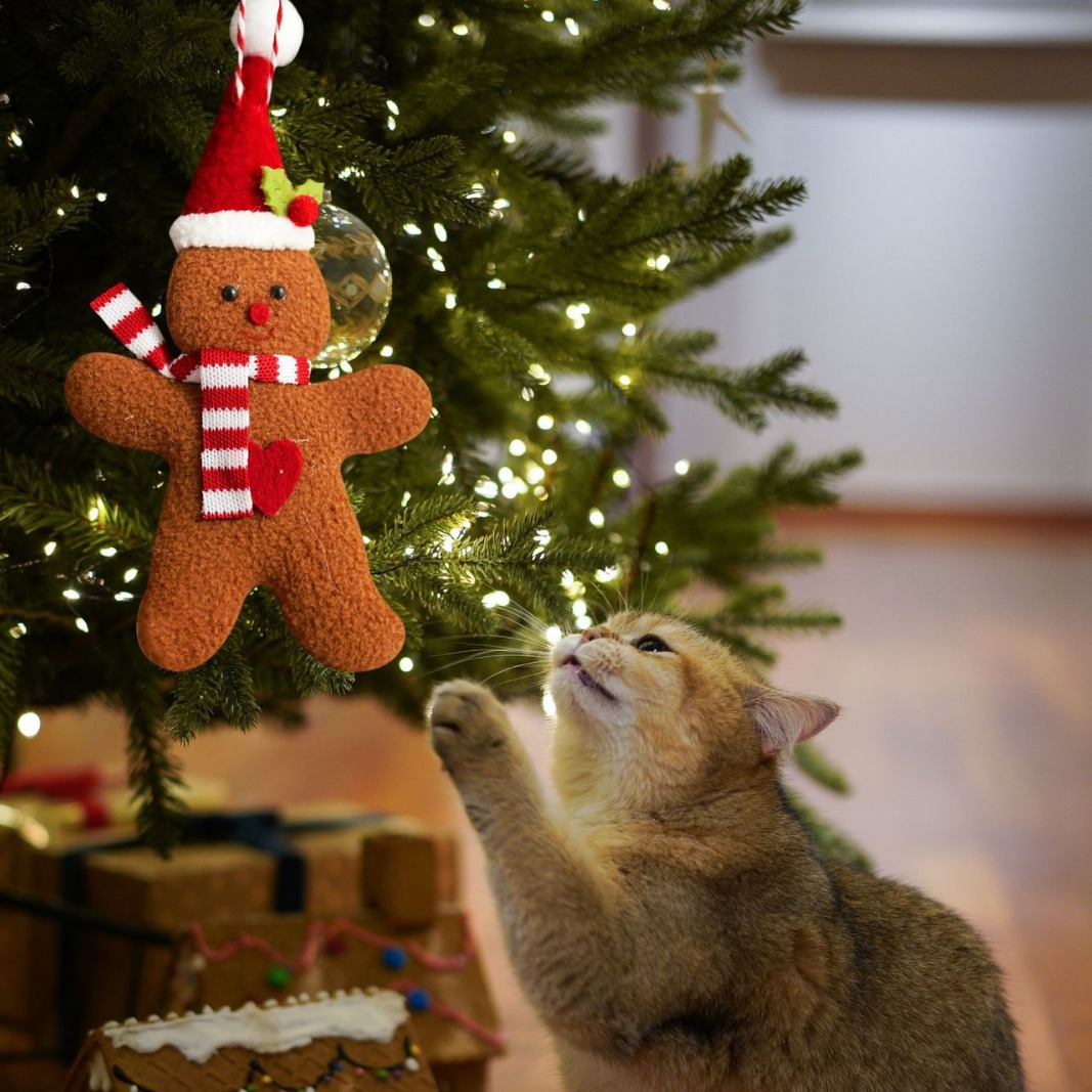 Nuevos productos creativos transfronterizos Navidad decoración pan de jengibre muñeca pequeña pieza colgante accesorios del árbol de Navidad colgante 3 piezas conjunto