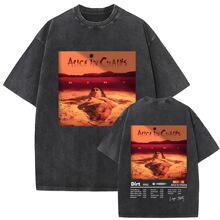 Washed Vintage Rock Band Alice in Chains Dirt Album Graphic