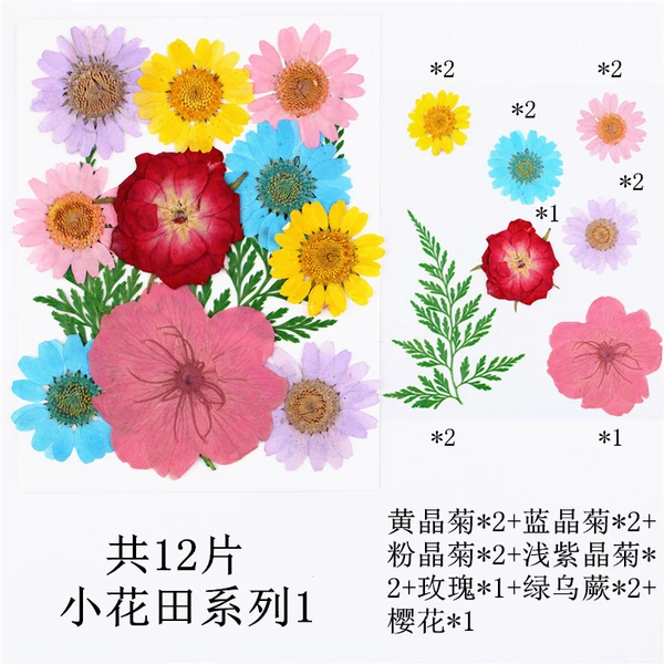 Xiaohua Field Series 1