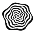 Vortex
