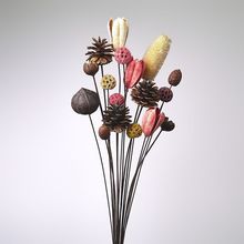 干果干花真花插花干花花束客厅摆设风干大束桌面摆件天然装饰薇妍