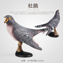 仿真飞禽动物模型玩具杜鹃鸟布谷鸟湿地场景宝宝启蒙静态教具摆件