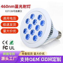 �羳������������������� ����˵���������� led������������