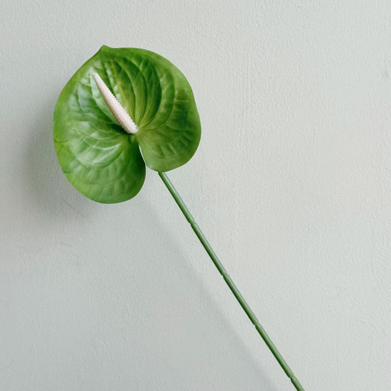 연한 녹색