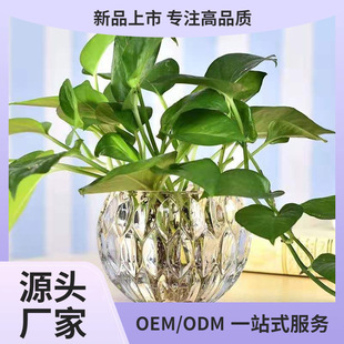 Casual Ball Crafts Candlestick Lampshade Glass Bottle Creative Glass Basin Home Decoration Hydroponic Succulent Flower Pot