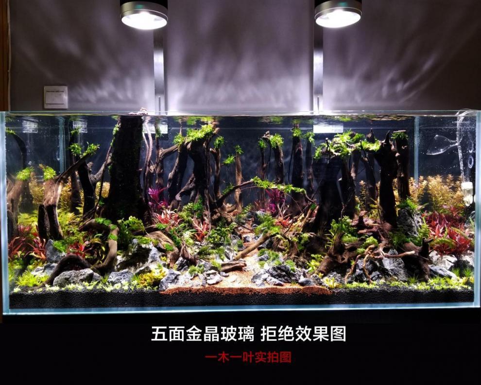 416fcc8f-d6d1-4947-90e4-ace980ca7a6a.jpe