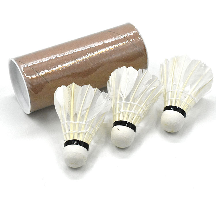 Long Feng Badminton Foam Head Indoor/Outdoor Practice Duck Feather Durable Training Shuttlecock 3-Pack