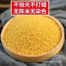 �SС����С�׮������r��Ŵ����s�Z(5���b)������r���Ԯa