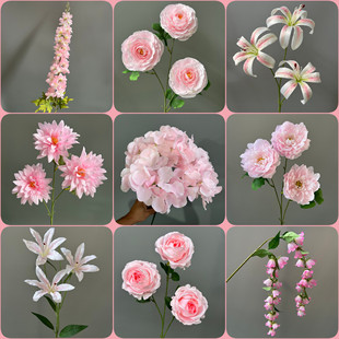 ��ɫϵ���滨�Ļ�Y�b�픠������Ż�·�������T��õ���c��ˇ