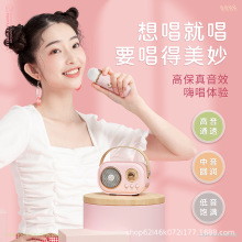 C20PLUS麦克风话筒音响一体蓝牙音箱K歌儿童唱歌家庭ktv蓝牙5.1