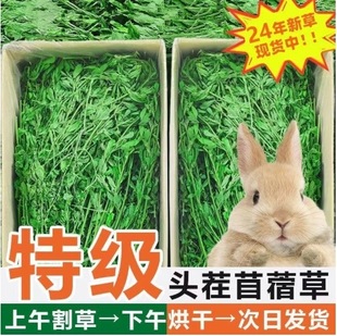 ���r�����ޣ���ϻ����ϸɲ�������؈���m�i�����������޲����uͨ