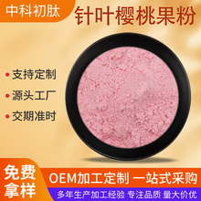 针叶樱桃果粉 樱桃粉维生素C天然VC水溶樱桃粉食品级樱桃提取物包