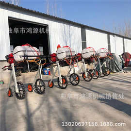 汽油自走式农作物喷雾机 汽油手推喷药机 蔬菜大棚打药机图片