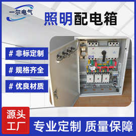 深圳双电源切换箱室内照明动力配电箱强电配电箱正泰照明总配电箱