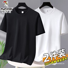 啄木鸟棉质短袖t恤男士半袖圆领体恤上衣服白色宽松休闲打底衫潮