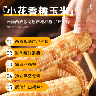 ������p��{��Ŵ������հ��b������ʳ��ʳ��ʹ������l���l