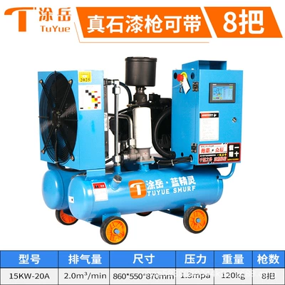 Hava kompressorları – Tu Yue Smurfs Remote Permanent Magnet - 15kw-13kg