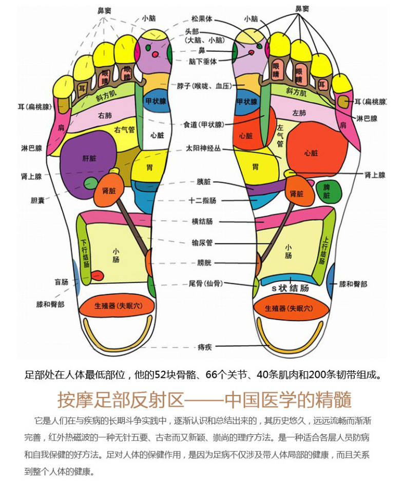 详情04.jpg