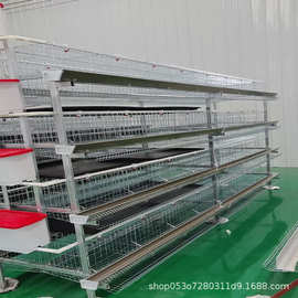 镀锌蛋鸡笼三层四门立式蛋鸡笼简易粪盘养殖蛋鸡笼工厂现货可外贸