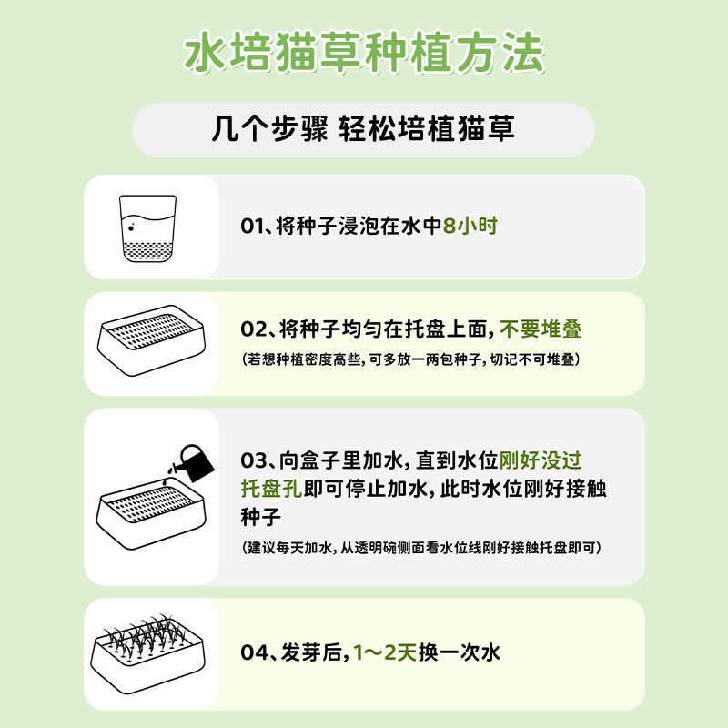 Nuevo gato grasa en maceta perezoso sin suelo caja de plantación hidropónica semillas de trigo placa de cultivo al por mayor