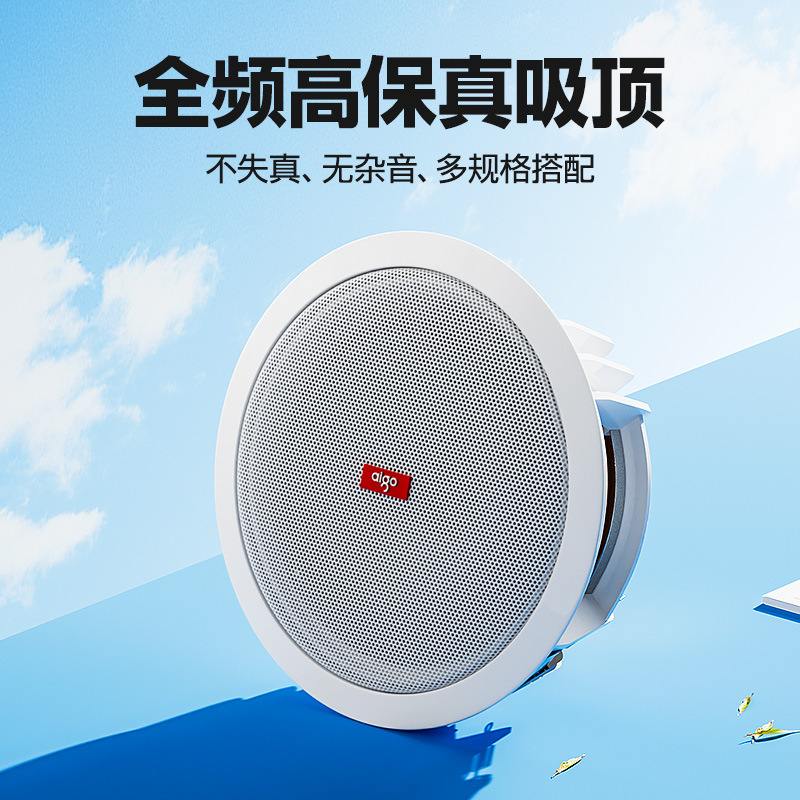 Sistema de Altavoces de Techo con Conexión Bluetooth para Música de Fondo