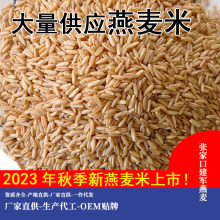 厂家供应燕麦米2023秋收新燕麦米张家口内蒙古燕麦仁新米生产厂家