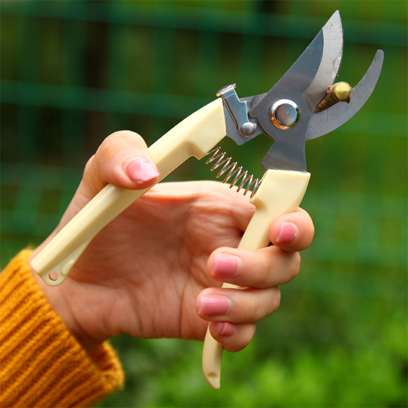 Stainless Steel Flower Shears Pruning Shears Branch Scissors Gardening Scissors Rough Shears Garden Shears Fruit Tree Shears Hardware Tools