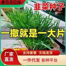 һ�����l�²˷N���ϸ������ļ����~��С�~�����ļ��̨�����߲˷N