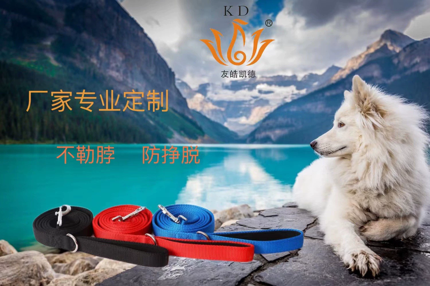 Поводок собаки полиэстера нейлона прямых поставок фабрики материальный стретчабле идущий большой, средний и маленький поводок собаки