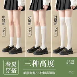 丝袜;连裤袜打底袜;运动休闲棉袜
