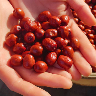 �ᗗ��ɽ�������R�hɽ��С�ᗗ��С�t����ˮ��ʳС�A���t��500g��